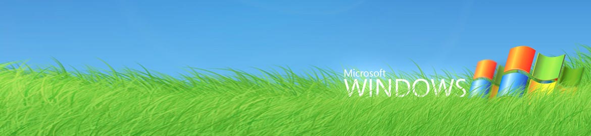 Software Agenzie Assicurative compatibili con Microsoft Windows